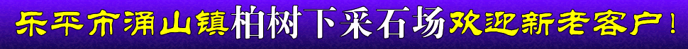 涌山柏树下采石